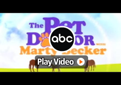 NBC (KKCO) features Davison client, Joy, inventor of the Party On The Go