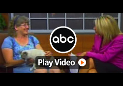 ABC (KXLY) features Davison client, Sharon, inventor of the Cool Cot