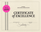 Certificate of Excellence for The Hot / Cold Therapy Brace for Wrists