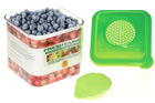 Davison Produced Product Invention: Freshtainer