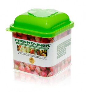 Freshtainer by Davison Helps Keep Food Fresh