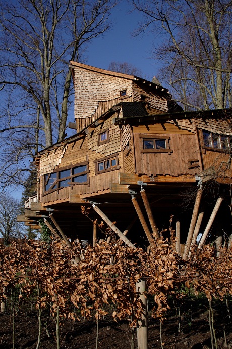 cool treehouses