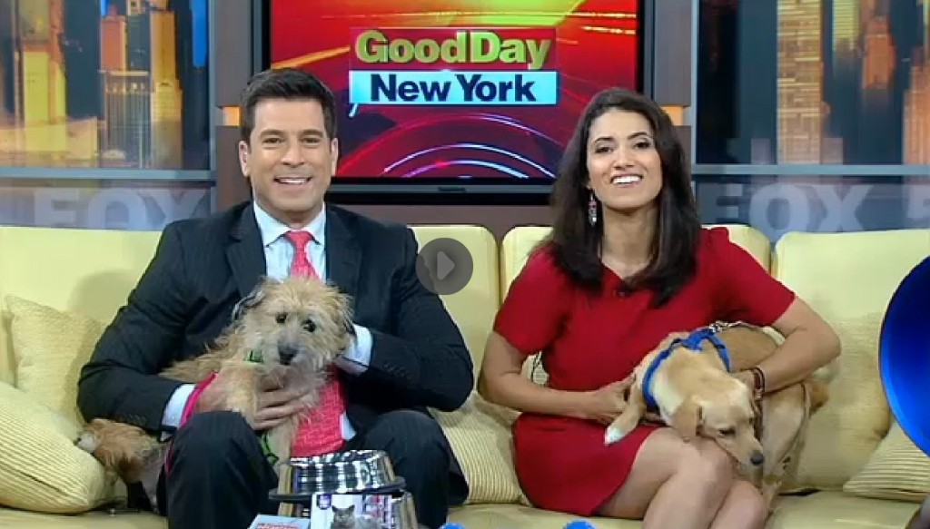 Pet Guru Wendy Diamond features the Hydro Bone on NYC Morning Show