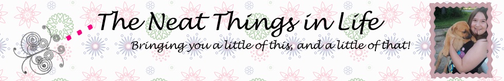 neat things in life banner