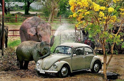 History Tuesday: The Car Wash