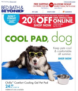 Bed Bath Beyond Features Chillz Gel Pet Pad in Cool Products