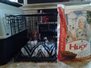 BREW- Hugs Pet Products