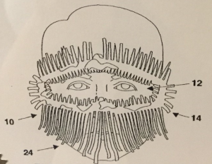 Goggleflauge Patent