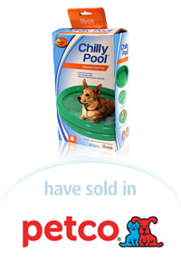 Davison Designed Product Idea: Chilly Pool