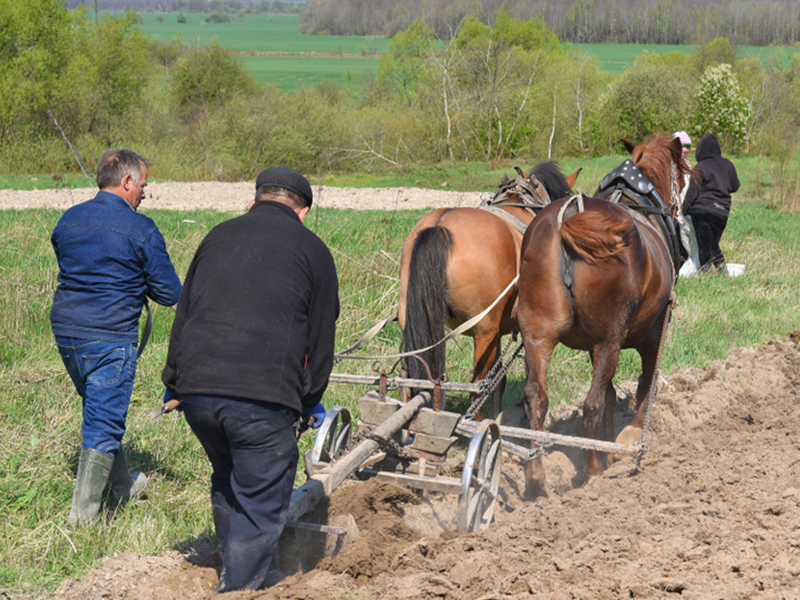 Two farmers plowing a field. Ten World-Changing Inventions - Plow